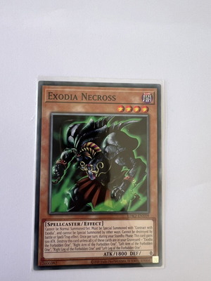 Yu-Gi-Oh! Exodia Necross LDK2-ENY06 Ultra Rare card new