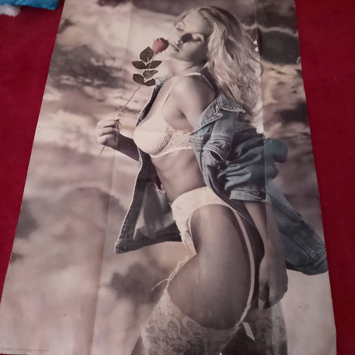 Photogrper-Pete Davis 1994 collectible poster used, 90x62 in, Spain