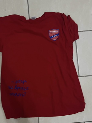 Panionios Fanela Emfanisi Panthers tshirt used size medium