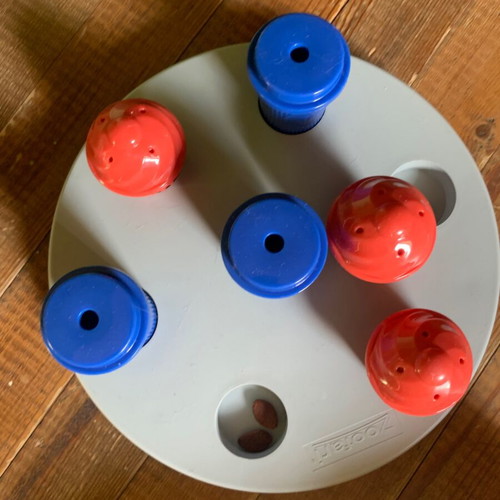 Zoofari interactive pet toy with cupcake and coffee cup compartments
