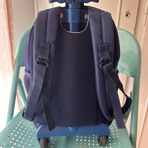 Polo trolley backpack for kindergarten used, space design