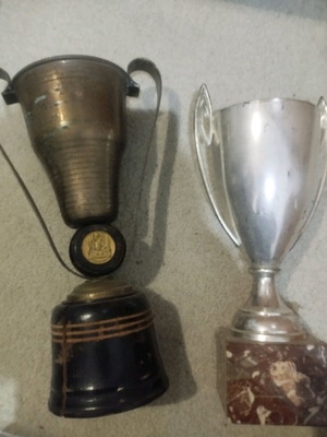 Trophies used, pack of 2, bronze and silvered with bases