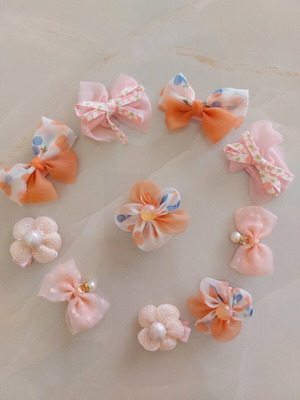 Hair clip set new for girls