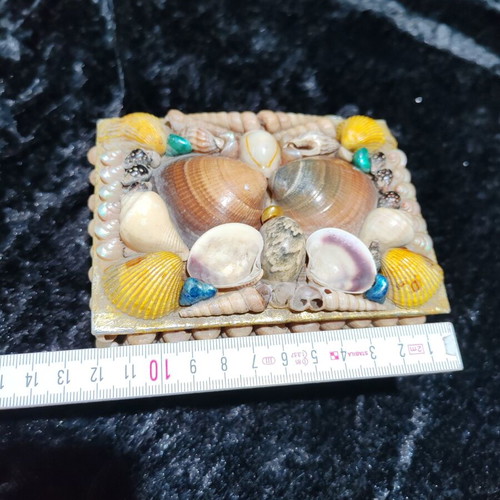 Vintage jewelry box with natural sea shells and royal velvet