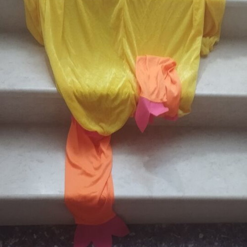 Carnival costume like new, yellow bird design