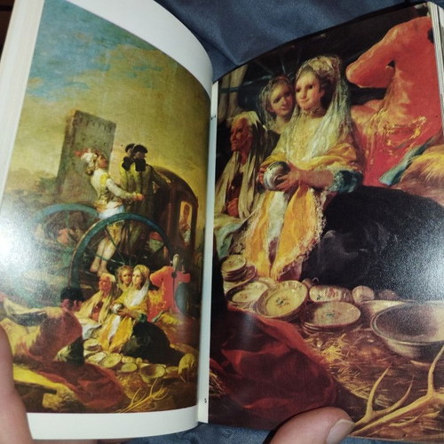 Goya Dolphin Art Book by Margherita Abbruzzese