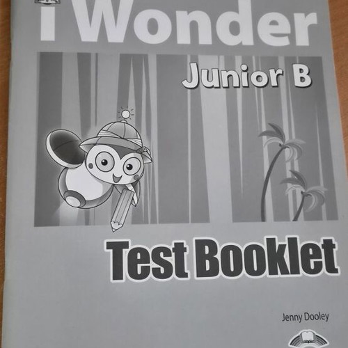 I Wonder Junior B Test Booklet used