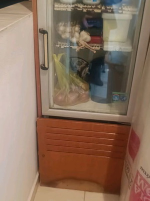 Small refrigerator used, wood-trimmed display suitable for cafes and bars