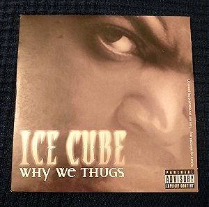 ICE CUBE – WHY WE THUGS  3 TRACK CD SINGLE - HIP HOP / RAP