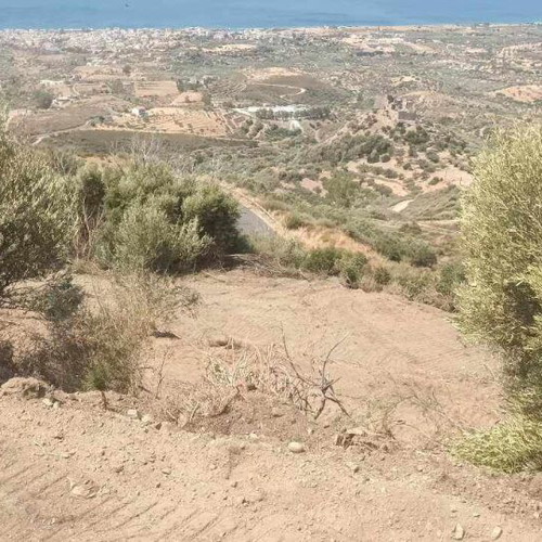 Buildable agricultural land 2,030 sqm in Mesochori Voion Laconia with view