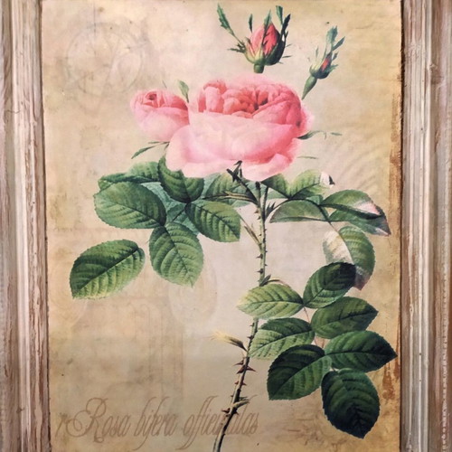 Rose painting 40×50