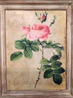 Rose painting 40×50