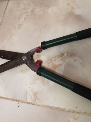 Hedge and Grass Shears used, 50 cm length