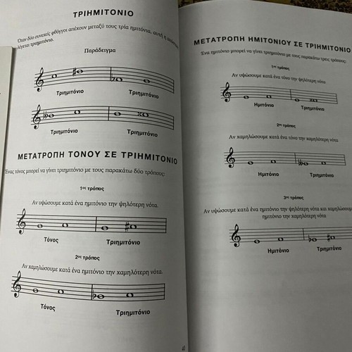 Music Theory Manual used, The Absolutely Essential with 2 Notebooks