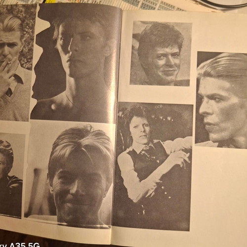 David Bowie book with photos and bilingual lyrics used
