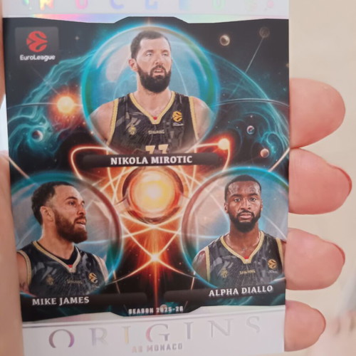 Panini basketball cards