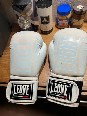 Leone 12oz boxing gloves used