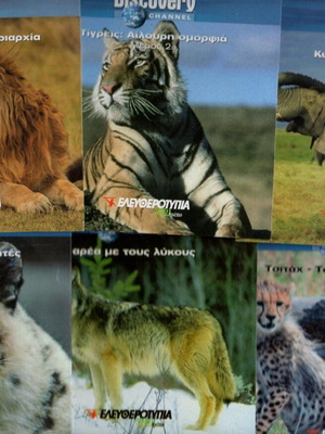 Discovery Wild Animals Documentary 14 VCD set new