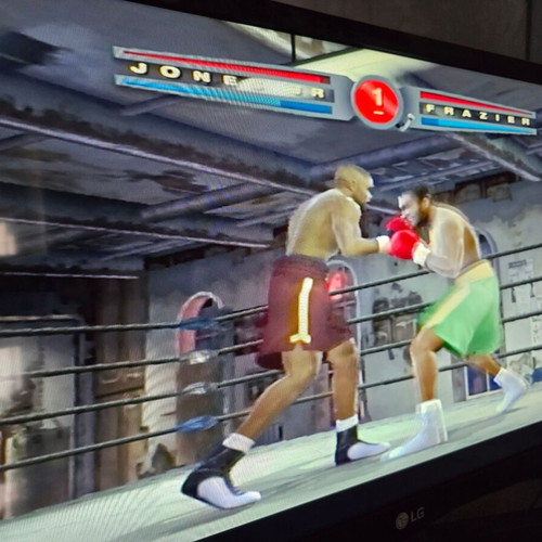 EA SPORTS Fight Night 2004 PS2 game