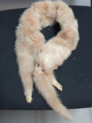 Fur Collar like new, beige, with pin
