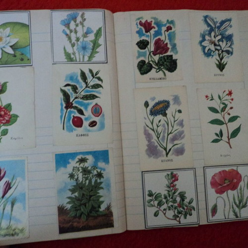 Botana tis Ellados album 1969 used with 60 cards and 3 chromolithographs