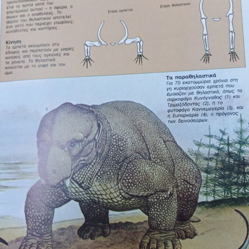 The World of Animals prehistoric mammals & monkeys like new