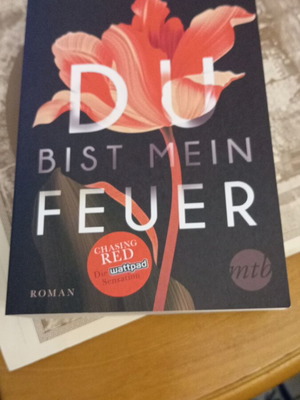 Du bist mein Feuer by Isabelle Ronin like new, German edition