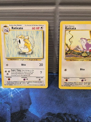 raticate raticate