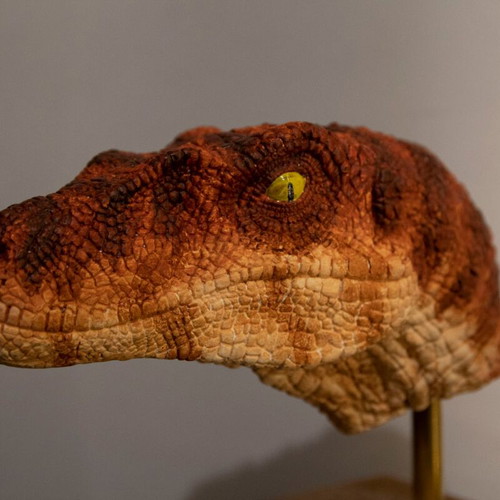 Velociraptor dinosaur head handmade, made to order, Jurassic Park