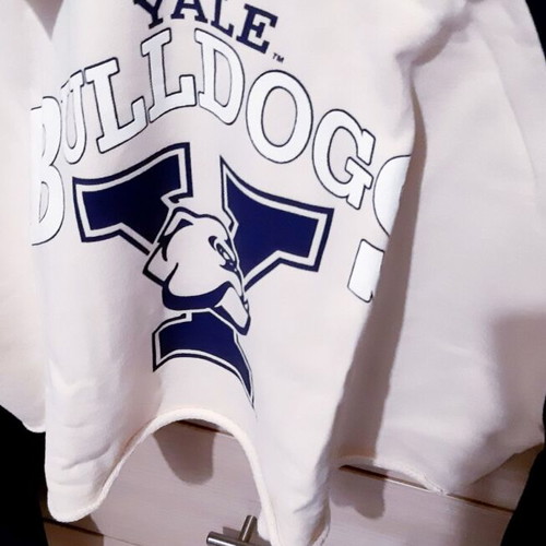 Yale College Hoodie Sweatshirt Zara Large XL new, blue and white