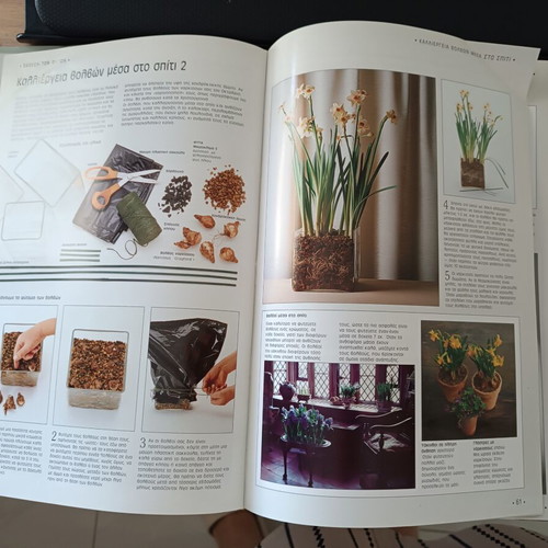 John Brookes Indoor Gardens book