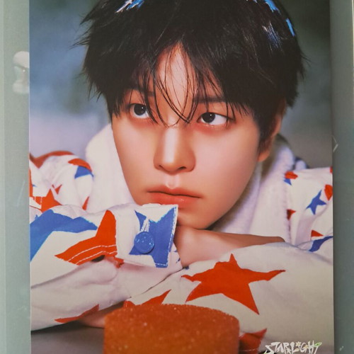 Stray Kids 2025 Season Greetings Mini Posters new, missing two members