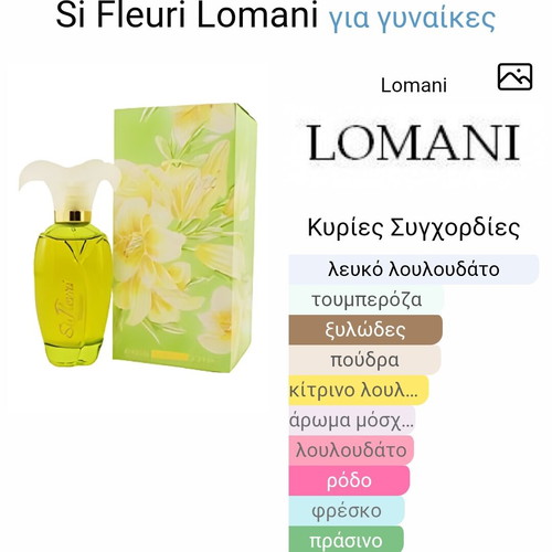 Vintage Si Fleuri Lomani edt 100ml and floral splash 50ml perfumes used