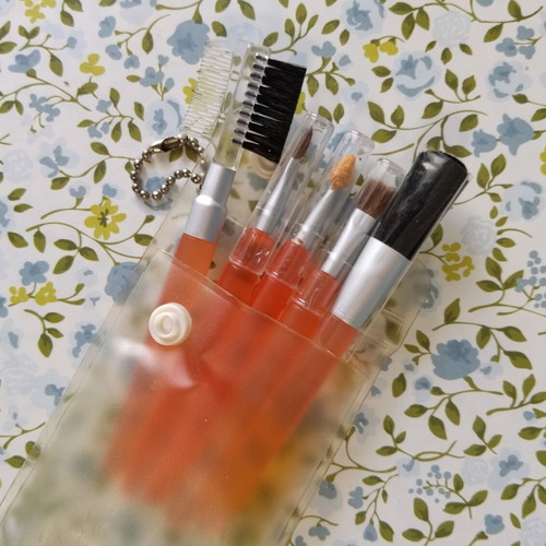 Mini makeup brush set with Rival Rouge gift