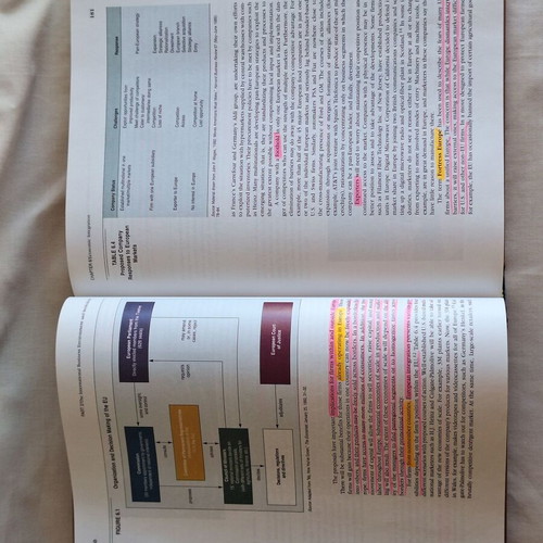 International Business Fourth Edition book by Czinkota, Ronkainen, Moffett