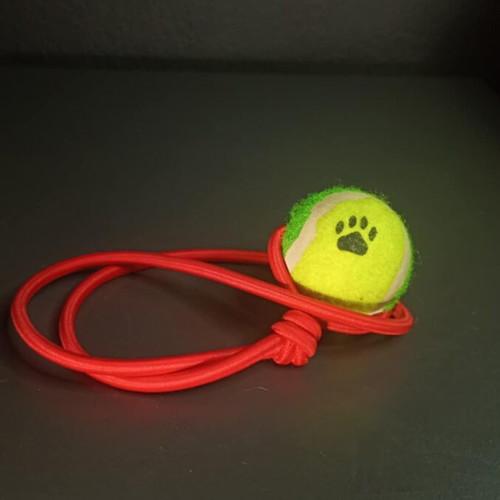 Dog Toy new