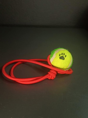 Dog Toy new