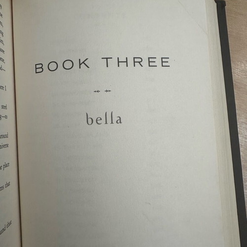 Breaking Dawn book used, English language