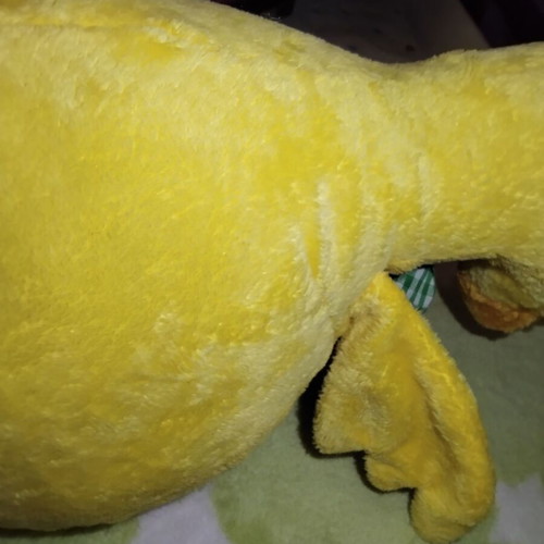 Plush duck used, 53 cm