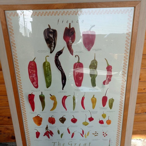 The Great Chilli Poster framed print like new