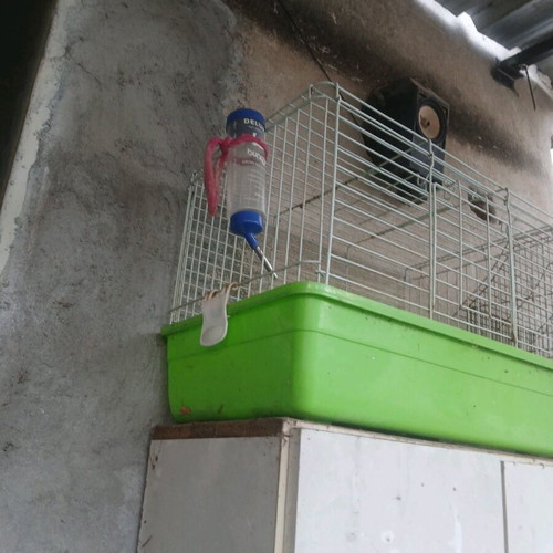 Rabbit cage used, spacious