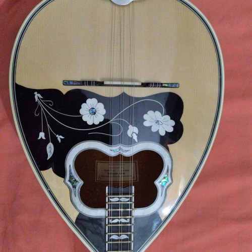 Katsifi bouzouki in excellent condition, almost new