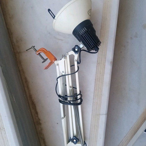 Office lamp with articulated spring and spiral clock