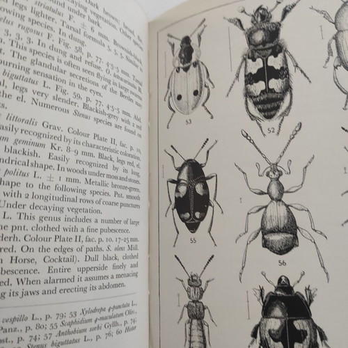 Beetles (Open Air Guides) Jan Bechyne et al 1956 like new