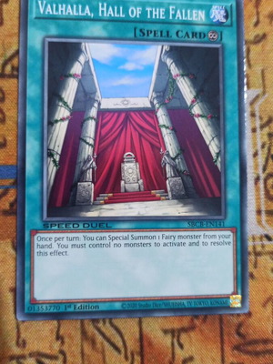 Valhalla Hall Of The Fallen Continuous Spell card like new