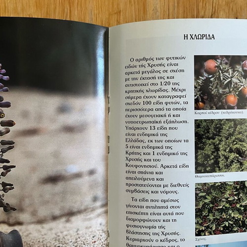 The island of Chrysi book like new, Municipality of Ierapetra 2000