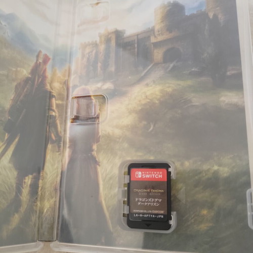 Nintendo Switch Dragon's Dogma Dark Arisen game like new