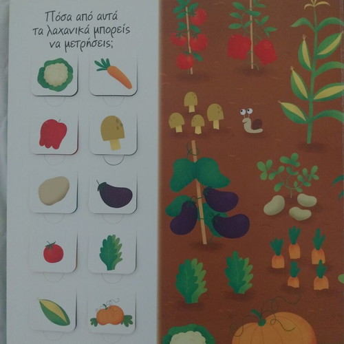 100 Knowledge Flaps: Numbers children's book, Dioptra