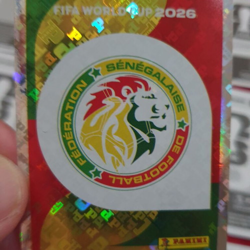 Panini 2026 World Cup 15 stickers new