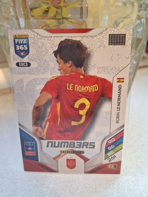 Robin Le Normand Numbers Panini card 2026